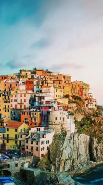 “现在的行情就是，女的嫌男的穷，男的嫌女的老。到最后呢，白菜烂在地里，猪饿死在猪