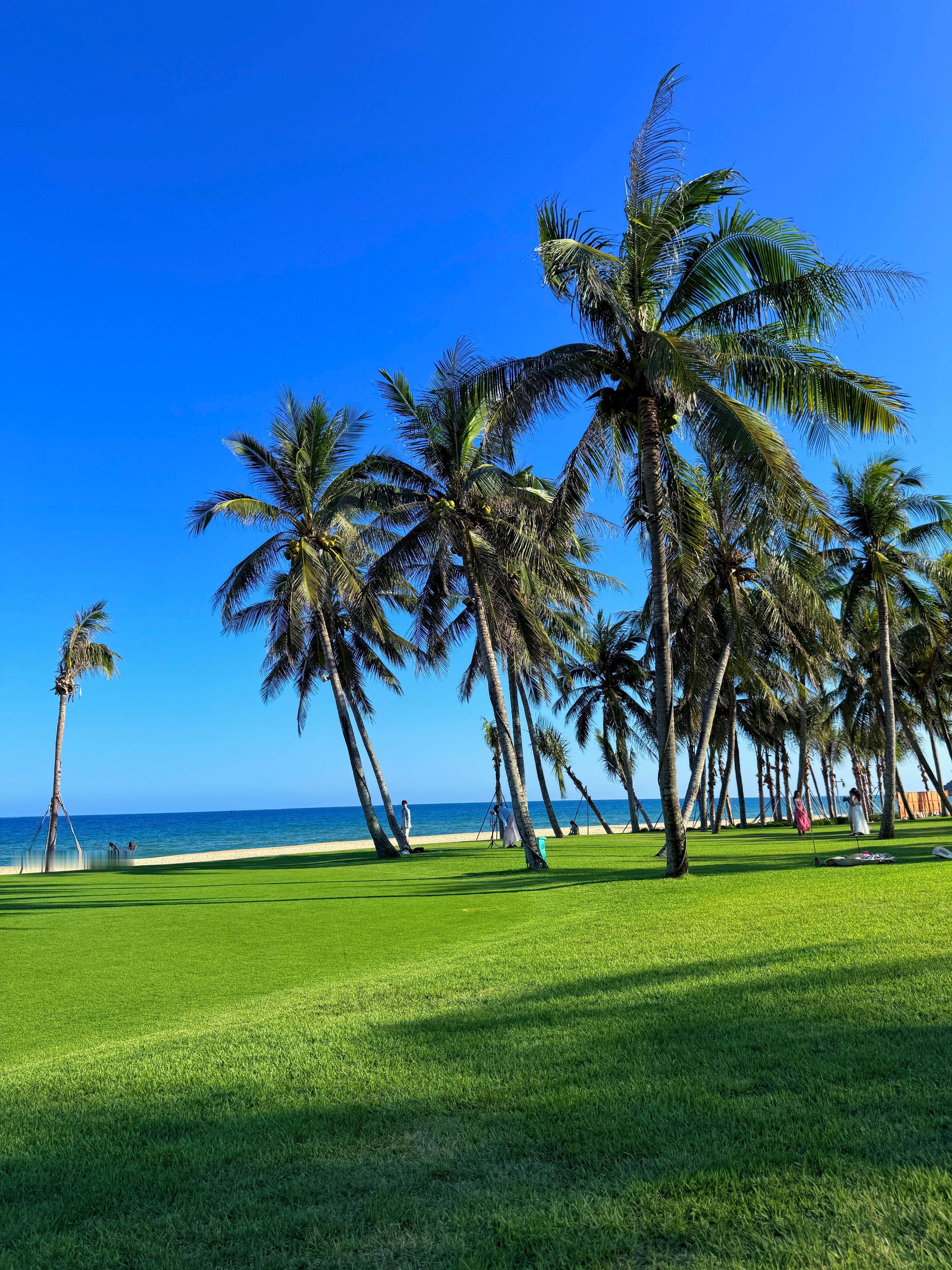 📍海南·陵水🏝️🌴把碧海与沙滩装进镜头里🌊 