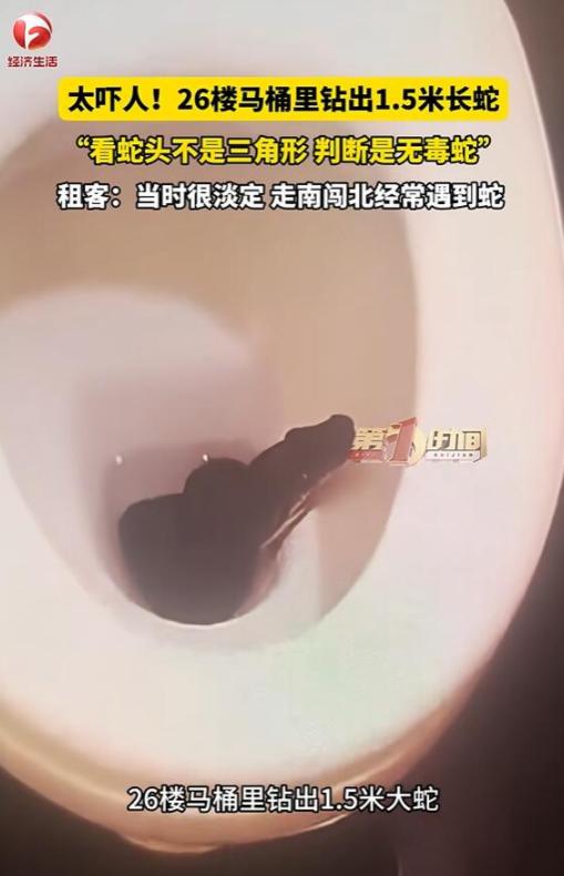 26楼马桶里钻出1.5米长蛇，蛇能爬上26楼？

据媒体6月8日报道：成都一位张