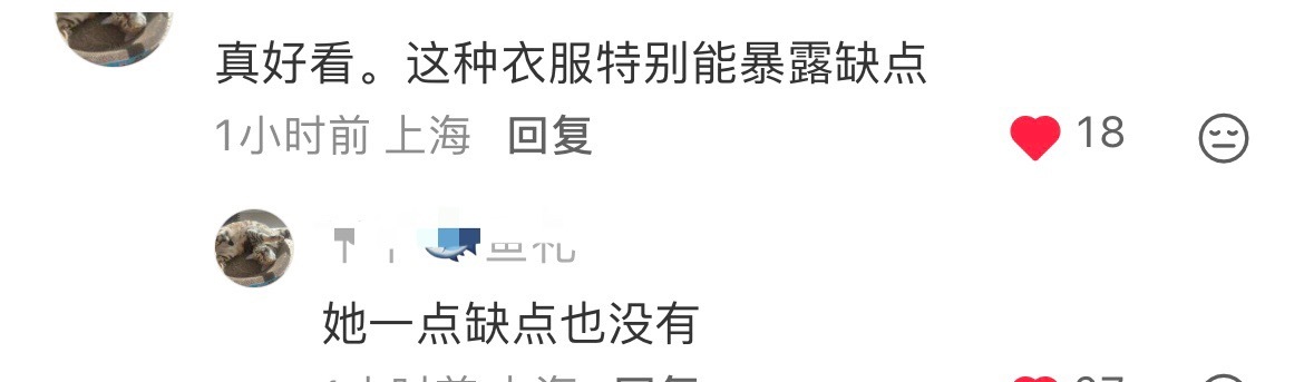 网友：这衣服特能暴露缺点，但是刘诗诗没缺点 刘诗诗没缺点刘诗诗一点缺点也没有