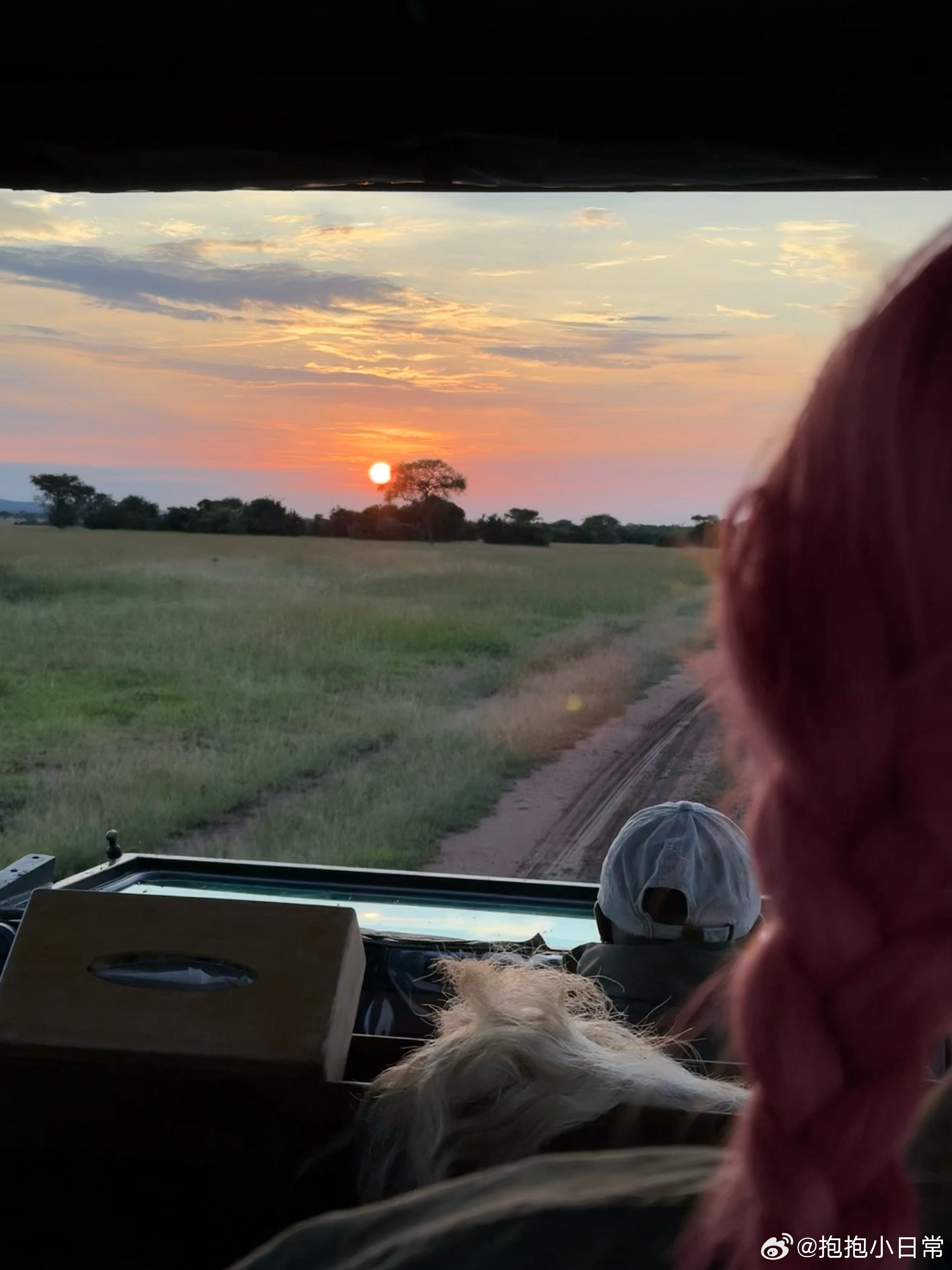 毛晓彤去了坦桑尼亚看狮子羡慕哭了！毛晓彤的坦桑尼亚之行也太惬意了，漫步草原看狮子