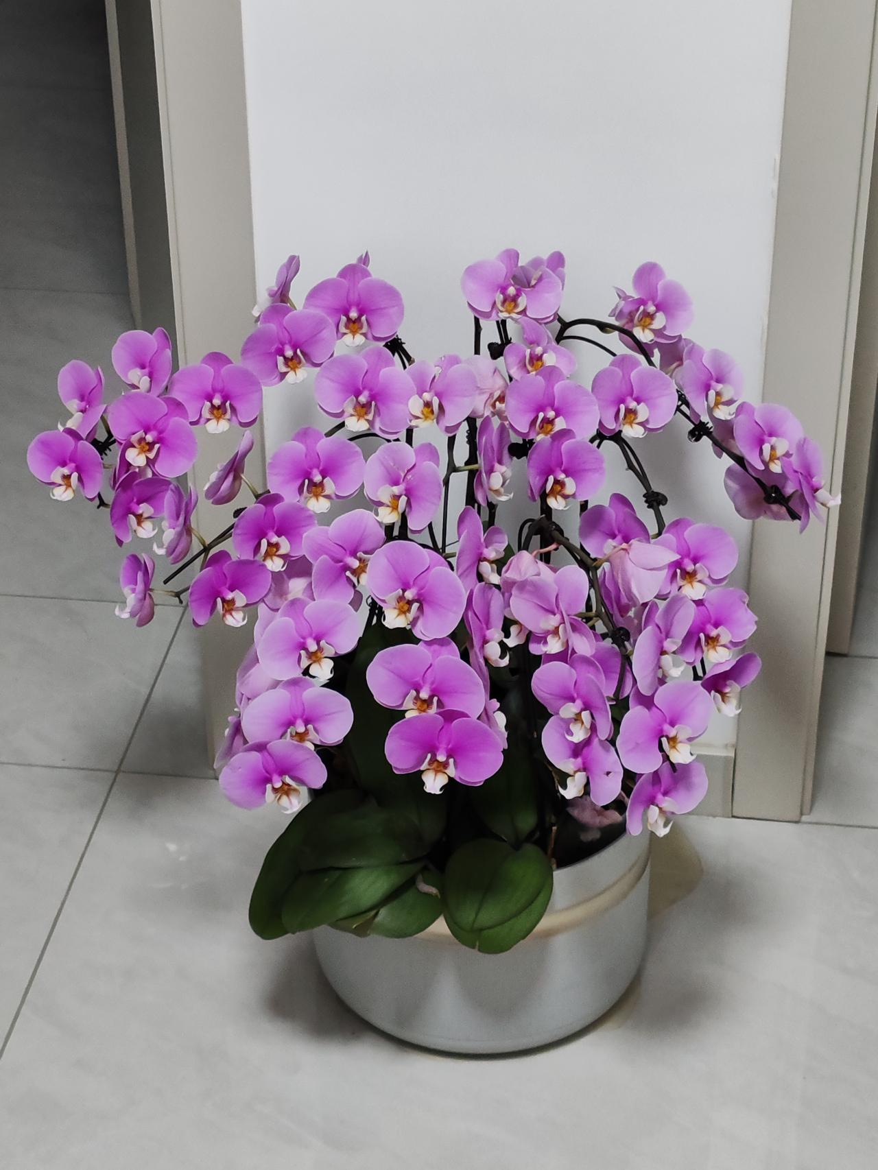 “人富而知礼”，此言极是。就如孔子周游列国至卫国，见人口众多，便提出先“富之”，