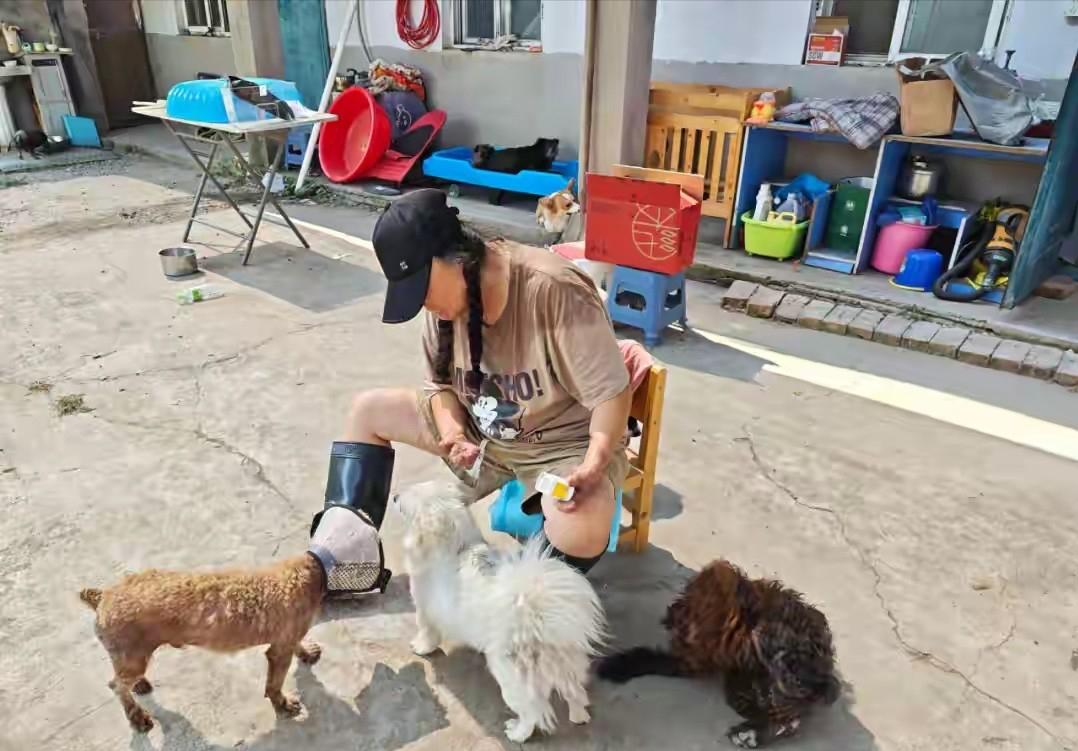 河南55岁残疾女子，为382只猫狗卖房又散尽家财！看完一声叹息。数字先摆在那儿，