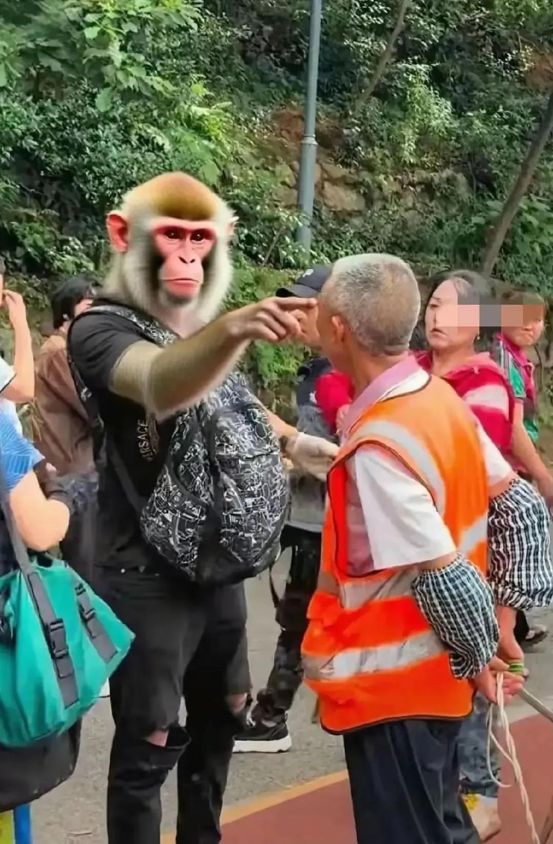 贵州黔灵山驱赶猴子事件

黑衣男子打着圣人的旗号

真是打脸了三个方面的人

1