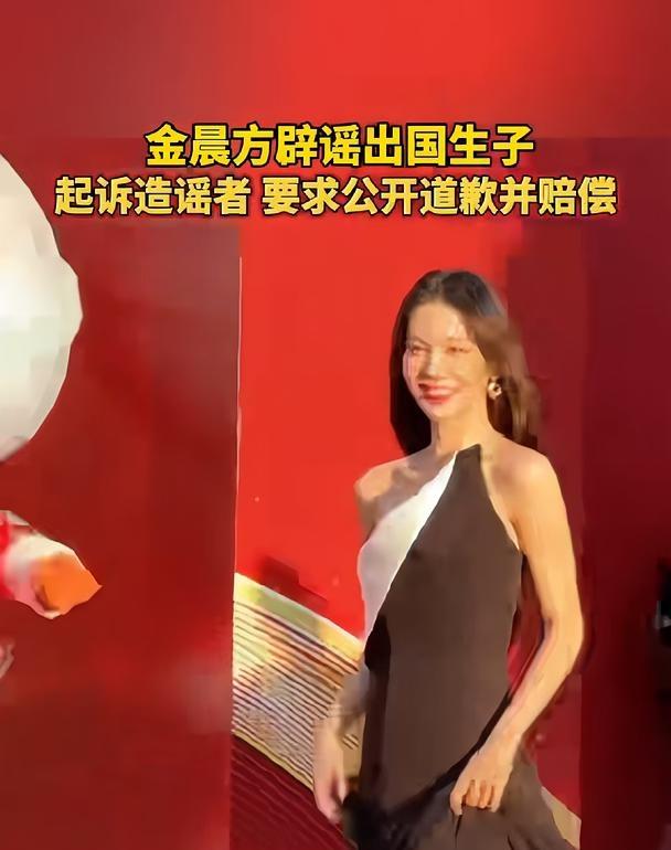 金晨方辟谣出国生子，起诉造谣者，要求公开道歉并赔偿