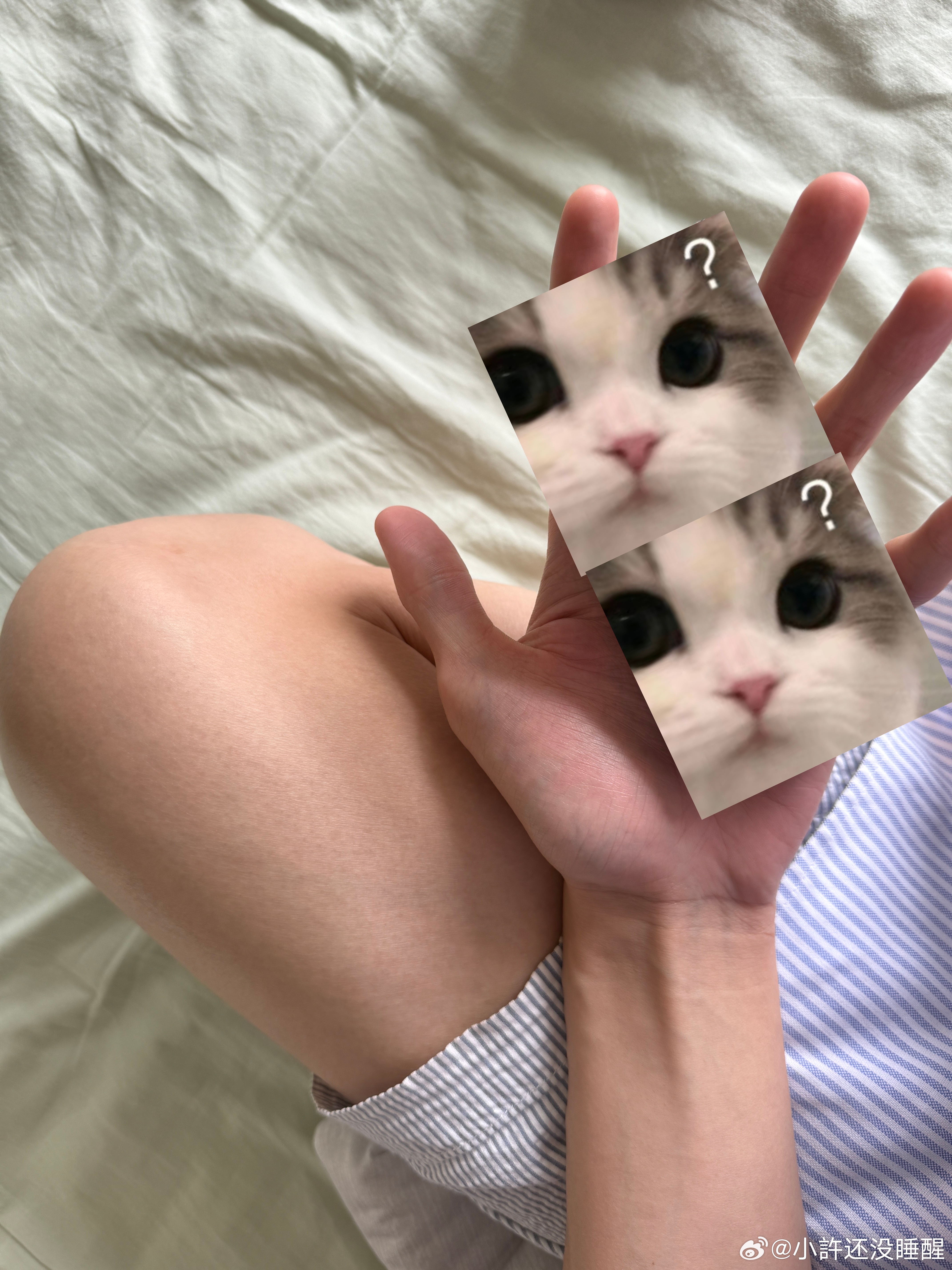 这张广图拍的深得我心 