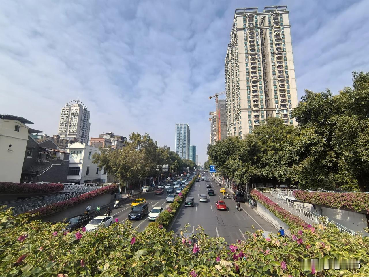 分享一张你随手拍下的街景站在广州解放中人行天桥上，看车来车往。