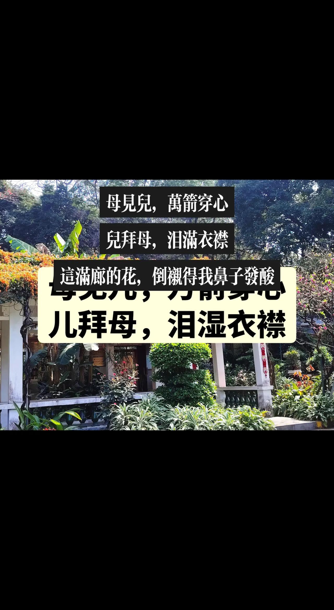 我的图片 ai创作全新升级