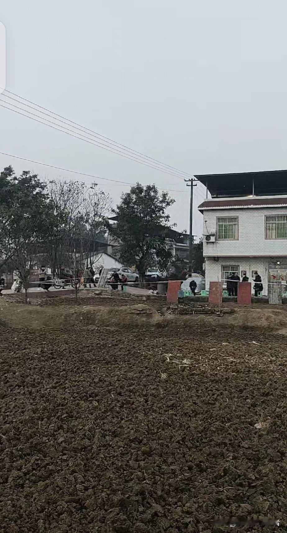 昨天还是人山人海，
今天已经是人去地也翻新了，
一切好像做了一场梦，
对合川呆呆