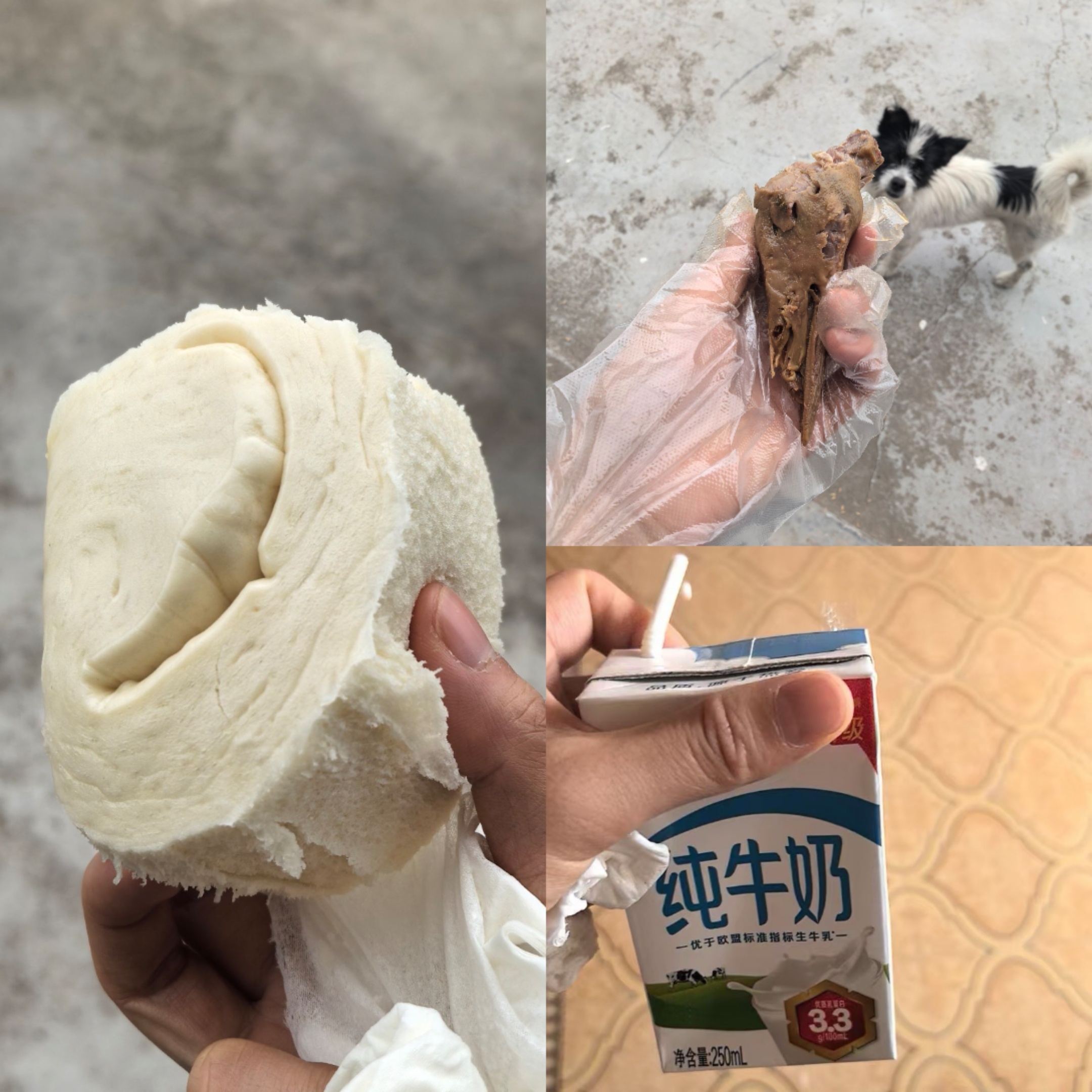今天午饭过于豪华，都整上全脂牛奶了。 