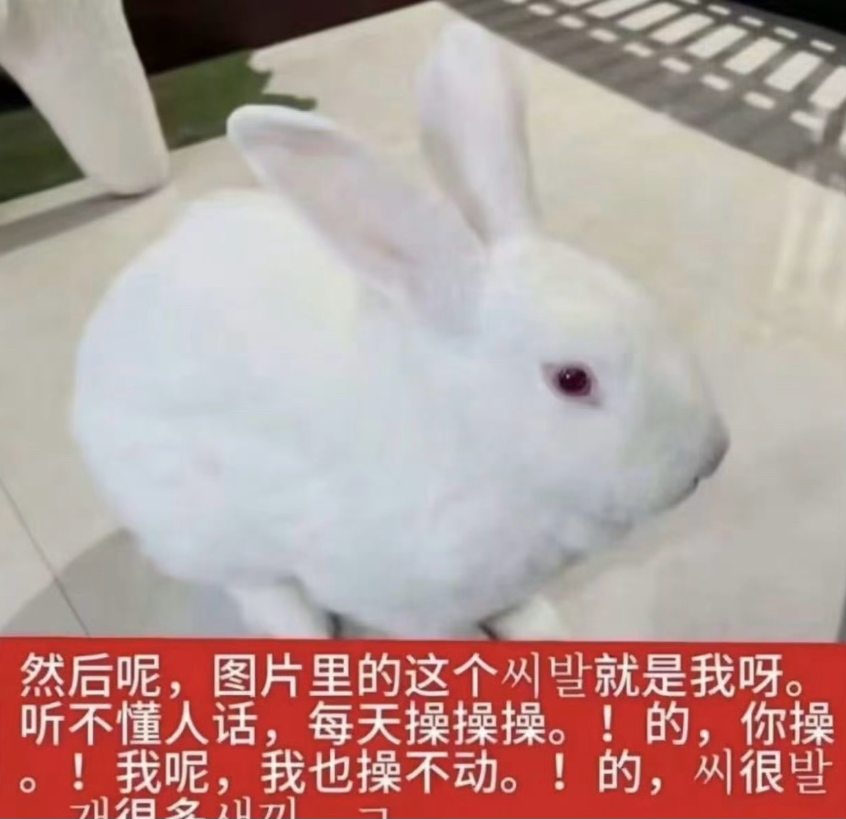 下午下雨，买完水果回来顺带给猫摘猫草，就走到平时不怎么去的花园里，各种树都长得很