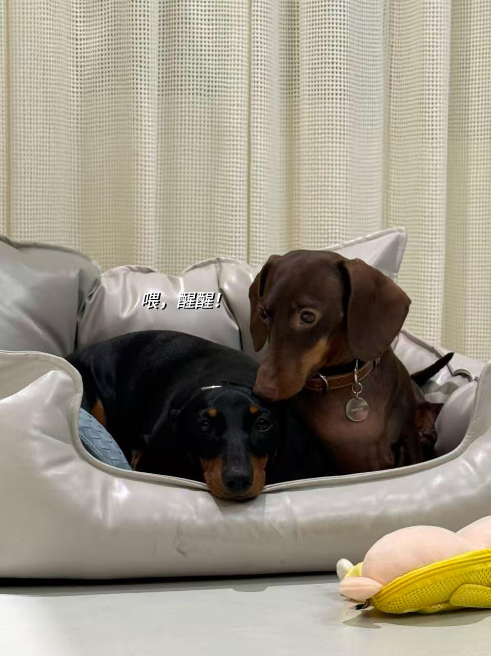 诶呀亲死啦俩乖宝🥹🫶🏻 