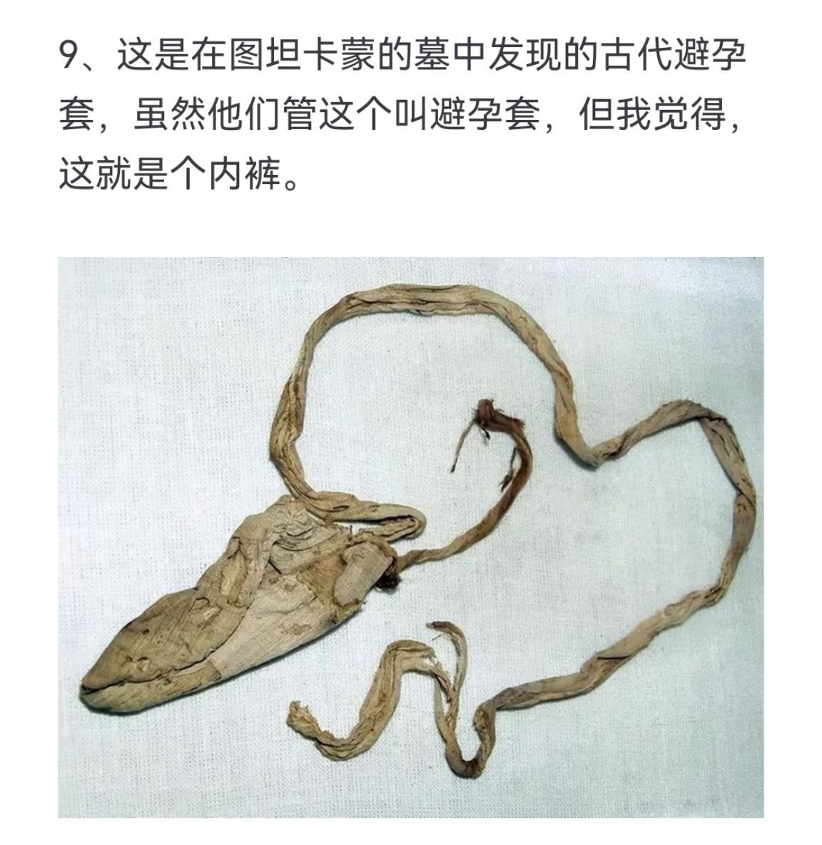 这是在图坦卡蒙的墓中发现的古代避孕套