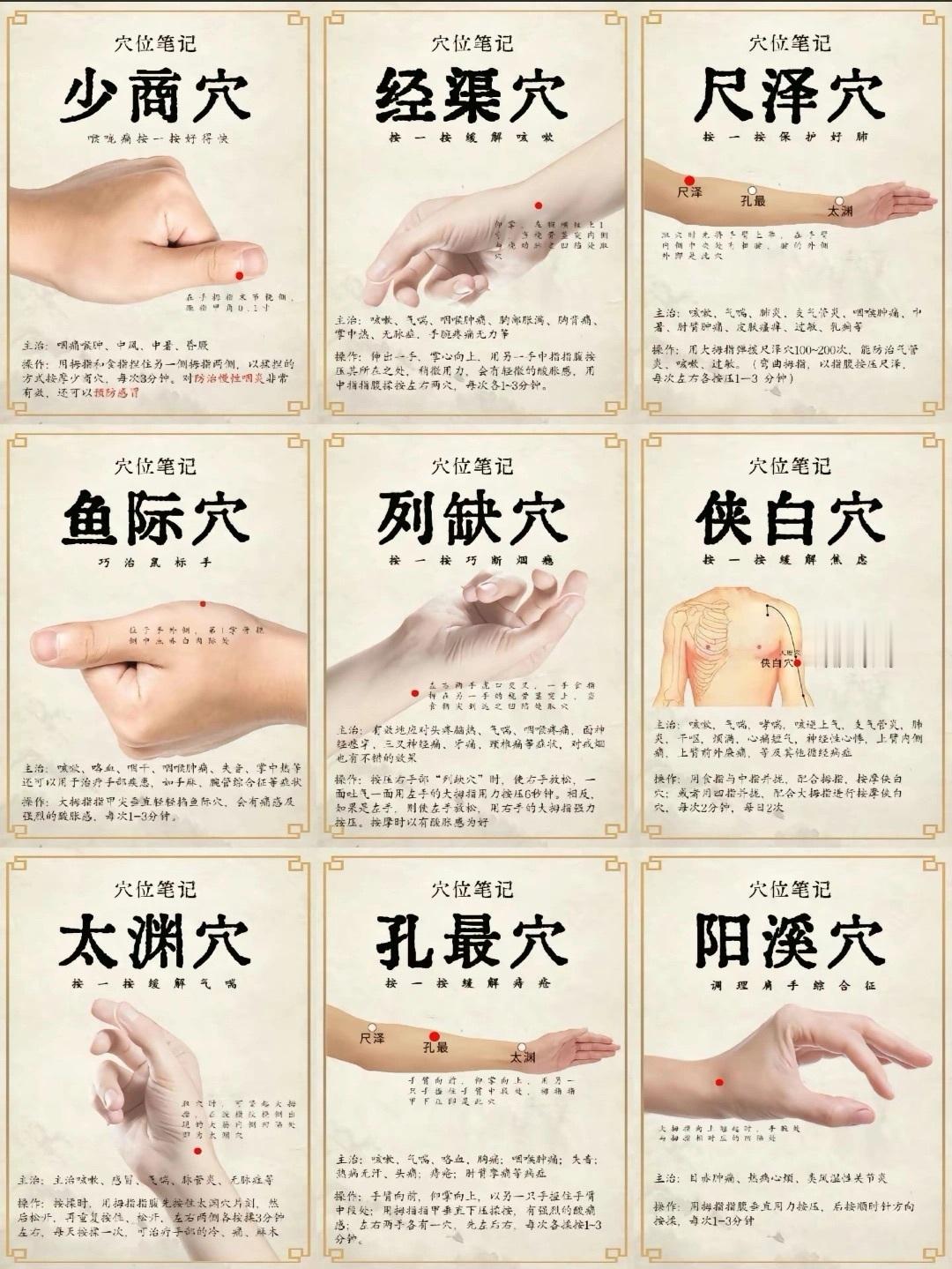 调理身体9大穴位 ​​​