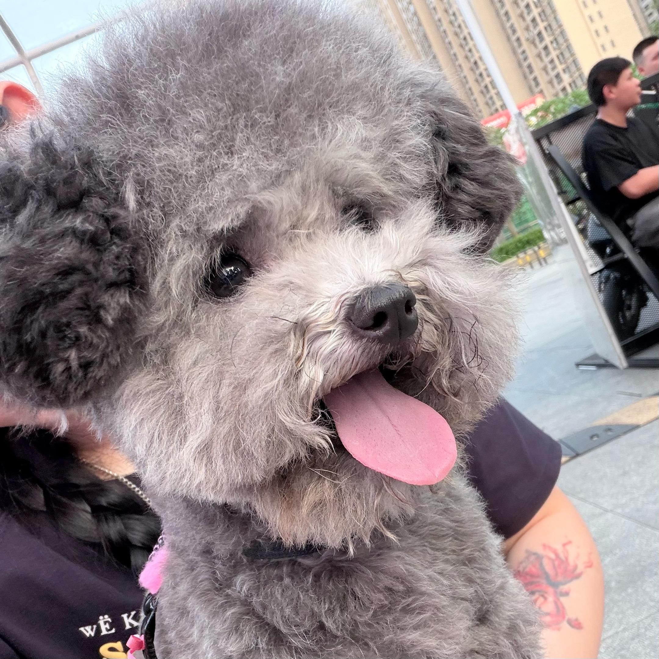 幸福要藏好 不如你的人会嫉妒