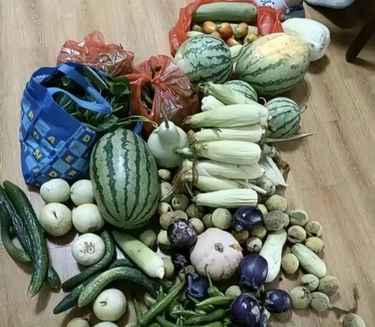 他每年骑三轮车来两次，

带猪肉和瓜果，

放下就走。

一百公里，泥路加省道，