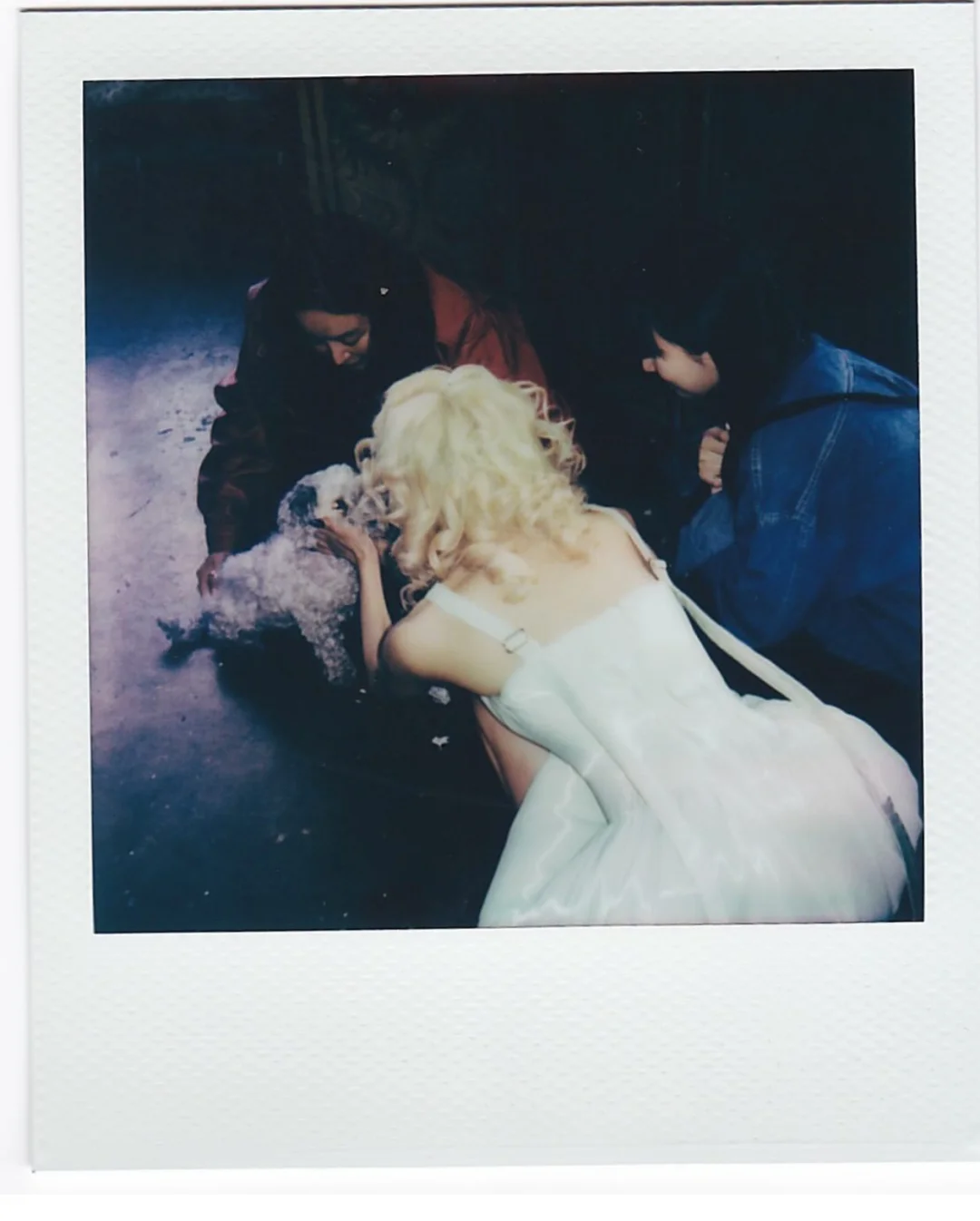 paper polaroids🤍