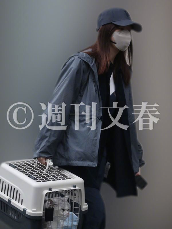 指原莉乃恋情指原莉乃犬饲贵丈恋情 据文春，前AKB王牌指原莉乃（32）与年下假面
