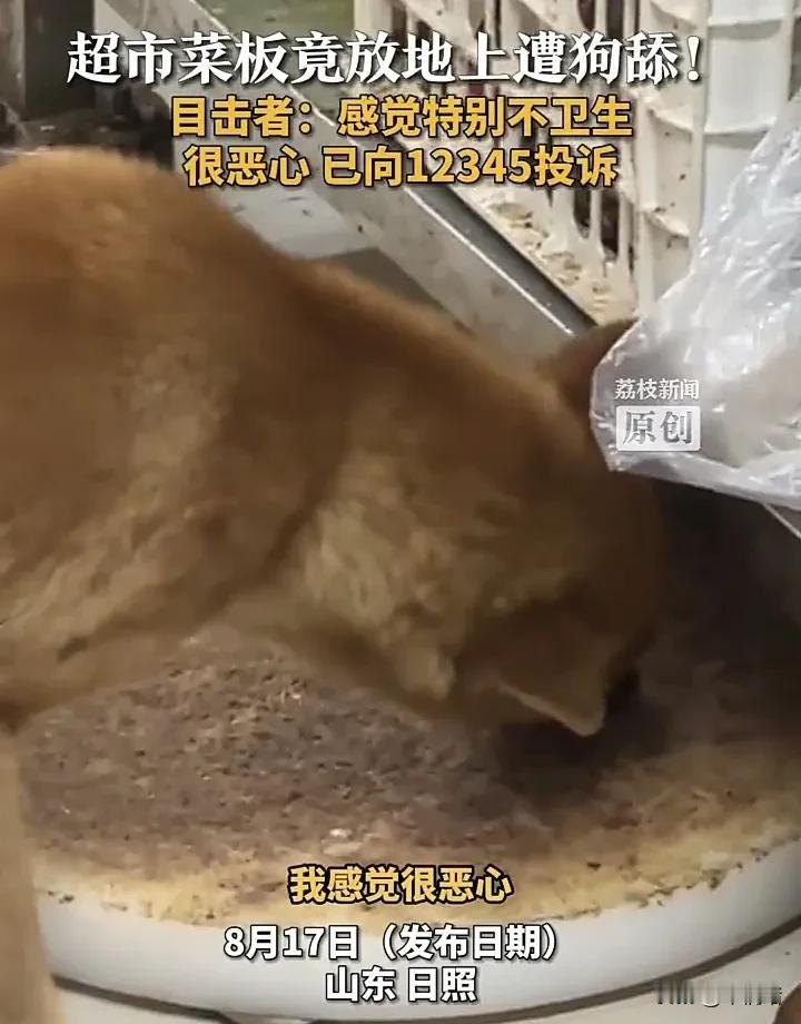 太恶心了！近日，山东日照一名女子去一家店铺买菜时，发现用来剁肉的菜板居然被放在地