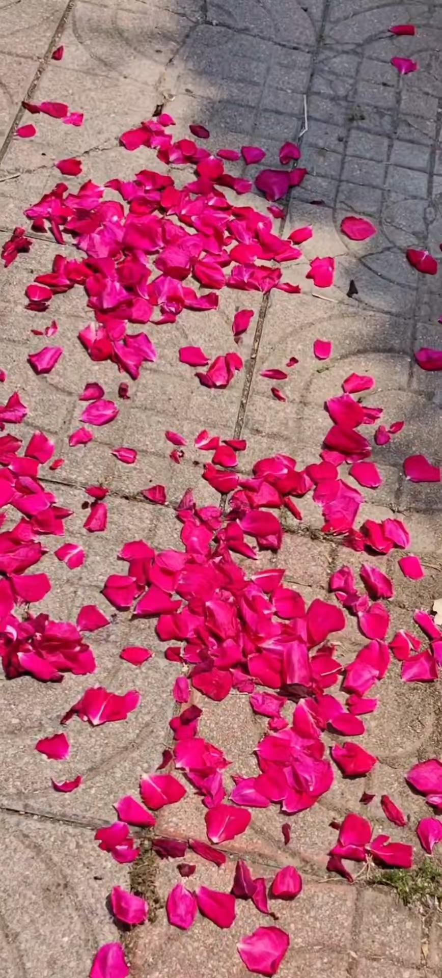 清明专题：2
诗词几首——
七律•清明时节1435
（2021.4.3.10:3