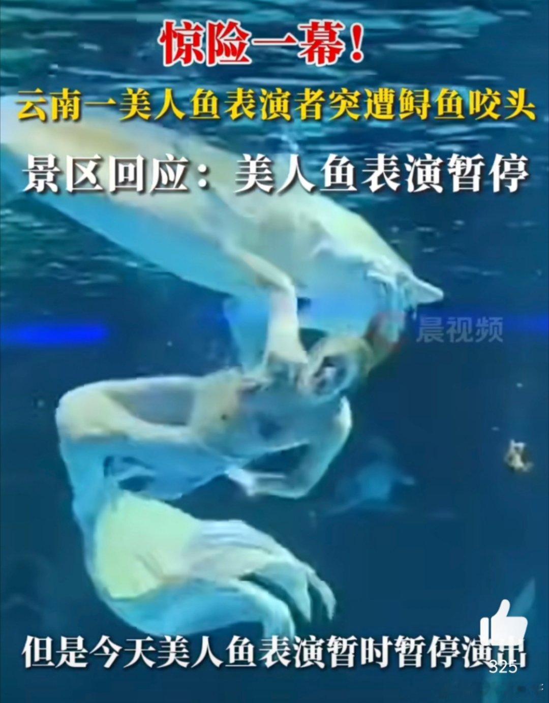 哇哇哇刚开始看没注意是视频logo还以为是咬流血了好吓人，整个头都被咬进去了，是