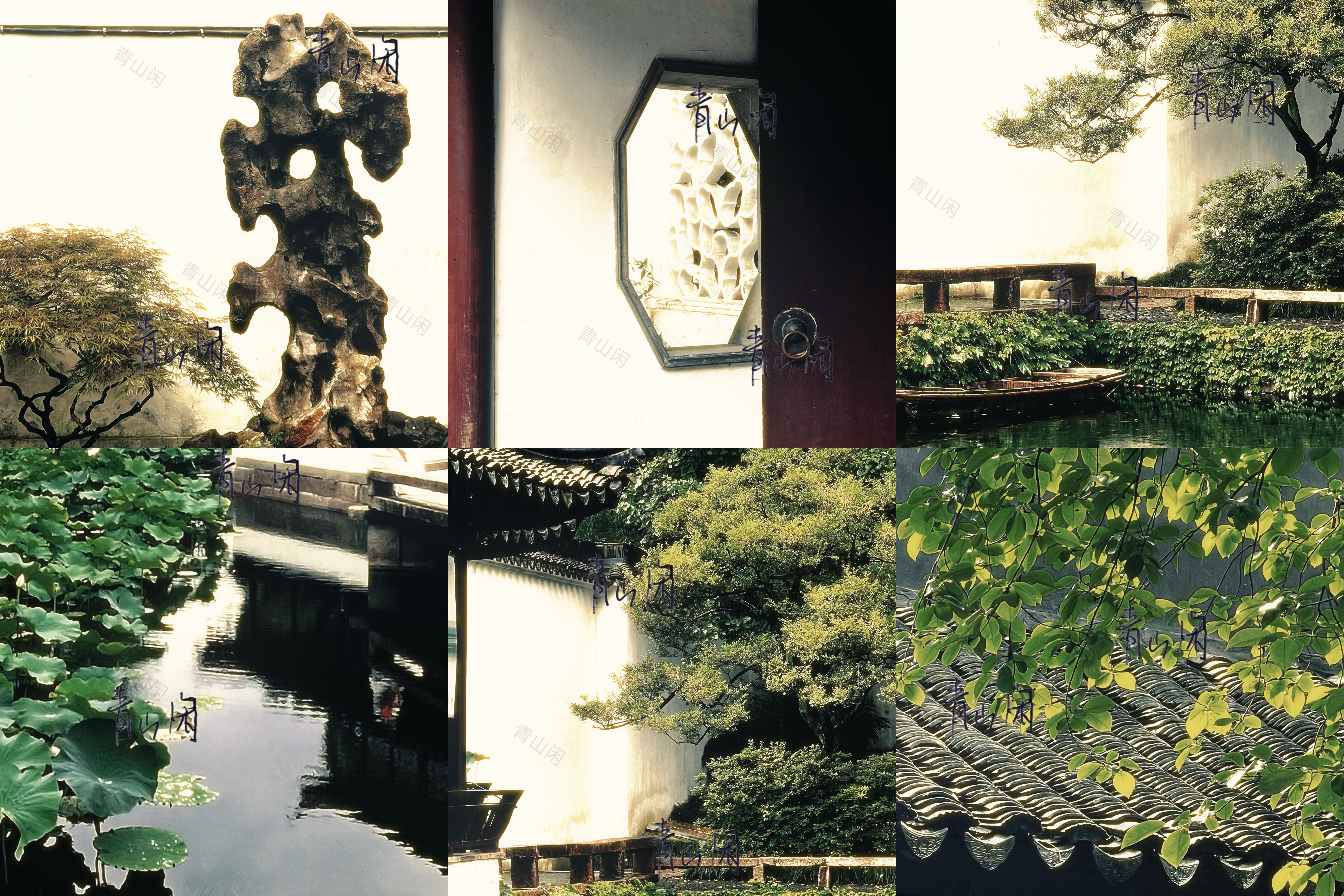 今天又用三免卡免费玩拙政园(中国四大名园之一 之二留园) 梅雨季的闷热潮湿 就像