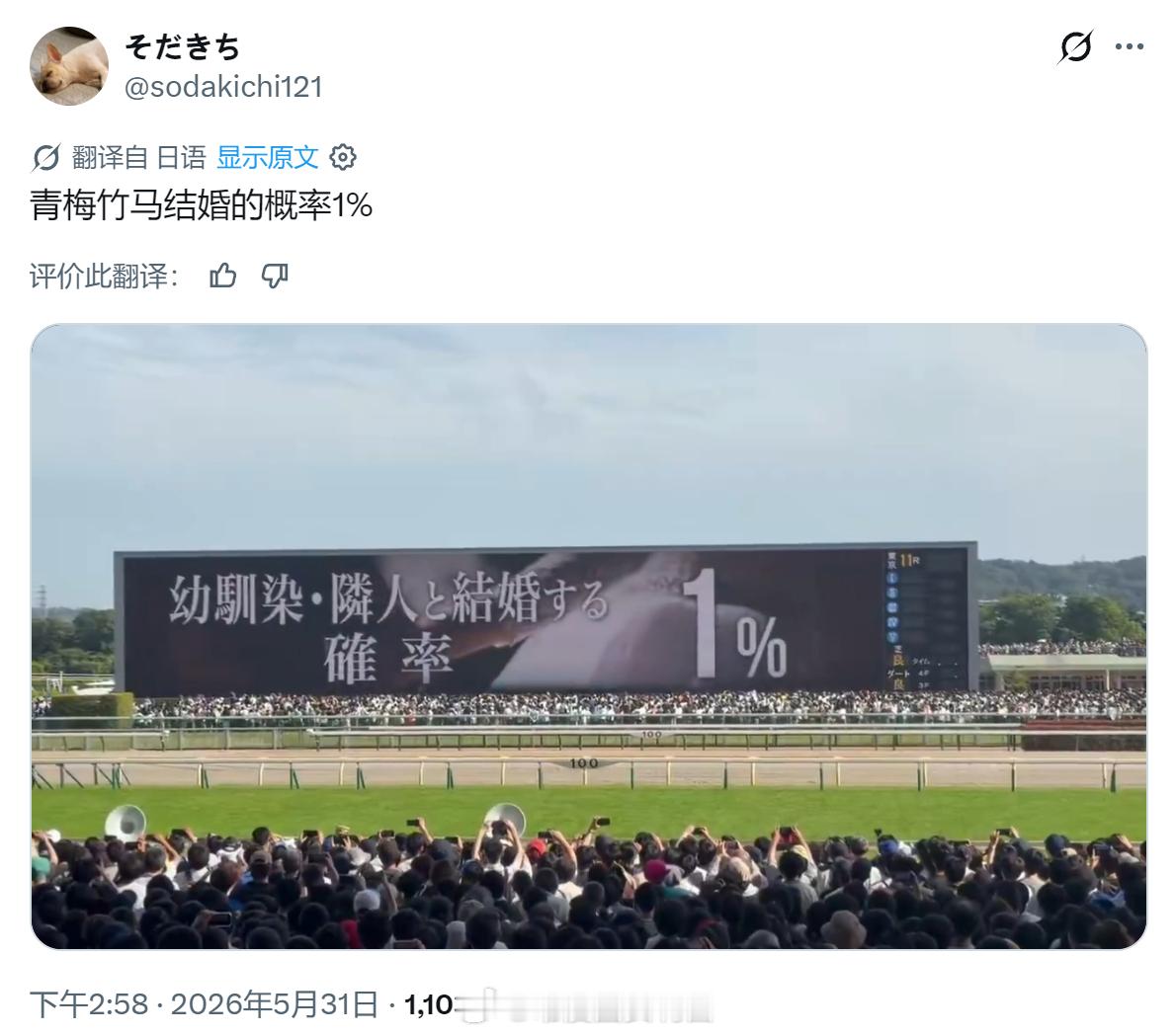 11区竞马场大屏吐槽“青梅竹马结婚概率”