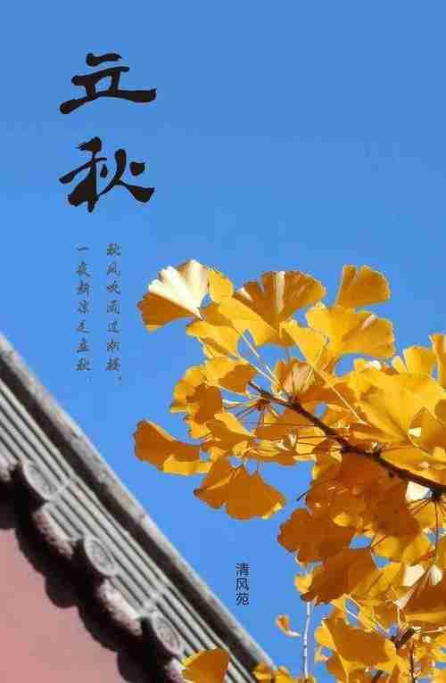 我的今日状态：🏝️旅行度假
我这里的天气：☀️晴天
今日立秋，秋老虎发威，今天