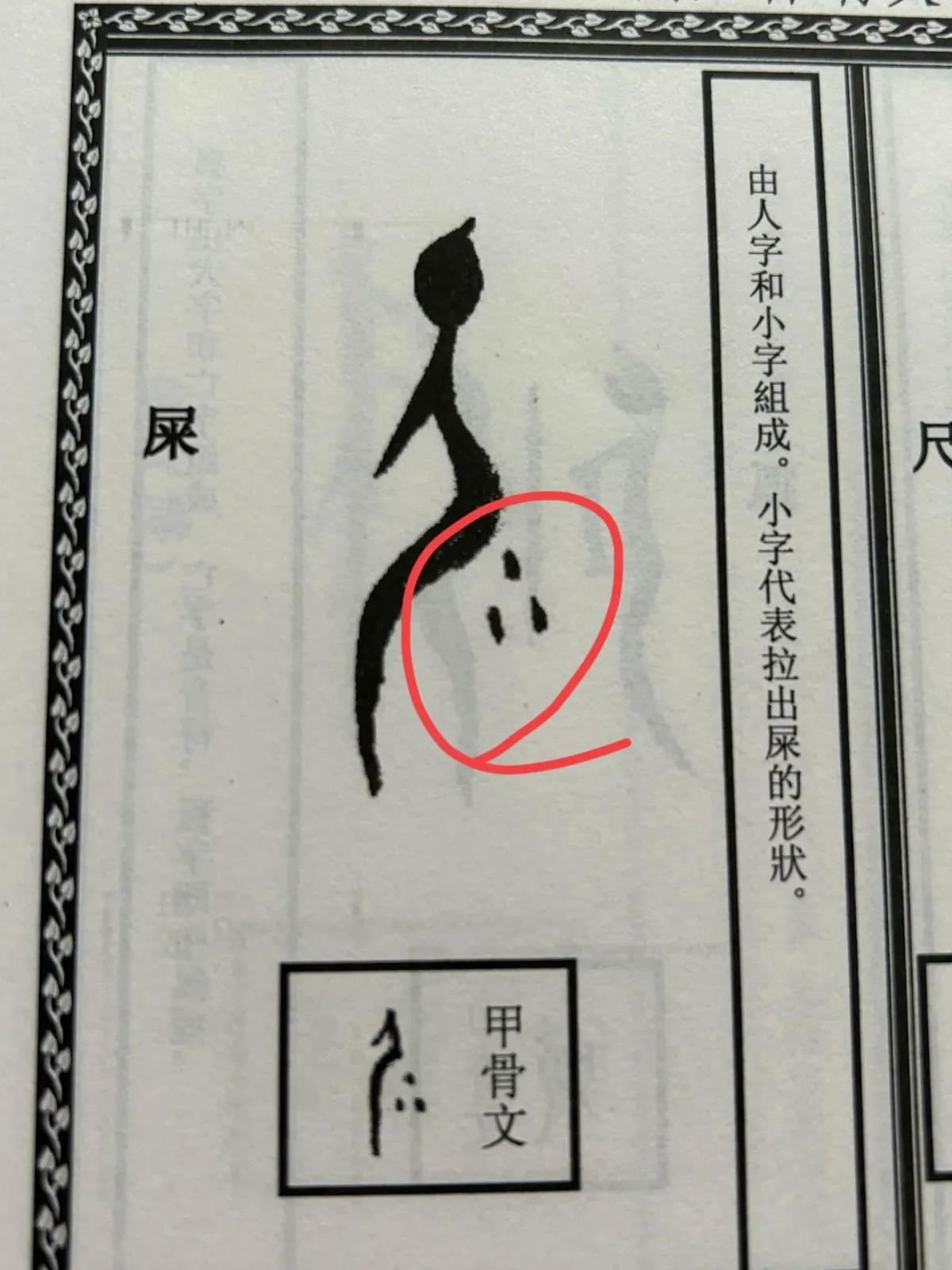 一大早笑疯了，甲骨文太形象了！人拉屎，人尿尿，人骑龙……精妙无比，陈丹青都笑不活
