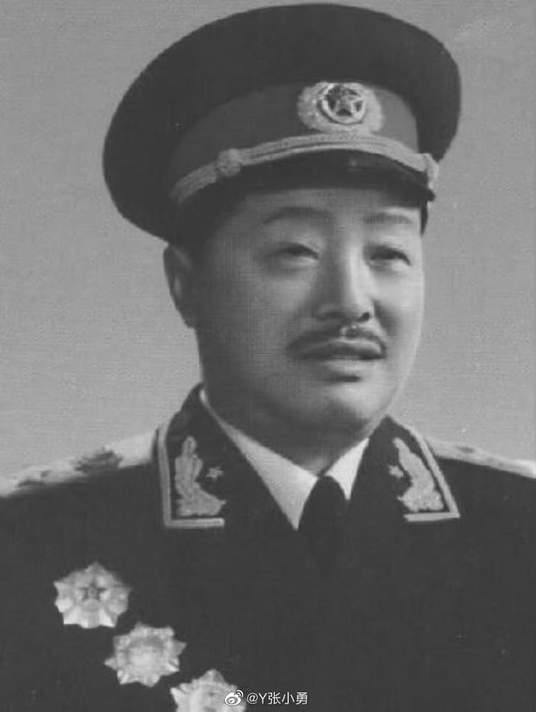 他是开国十大元帅之一，两把菜刀闹革命，半个多世纪生涯中建立了不朽功勋。1969年