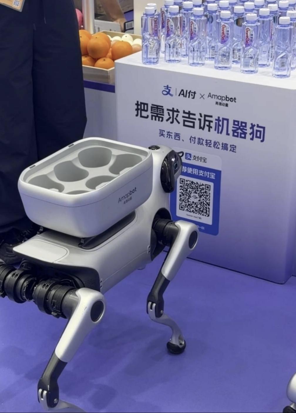 机器狗可以帮你“打酱油”了！支付宝推出“AI付·具身智能”

9月11日，支付宝