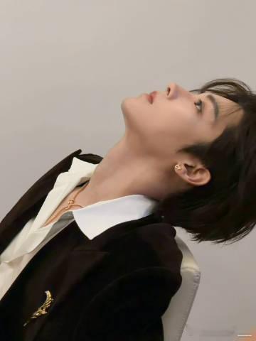 侯明昊 深v蛇骨链 侯明昊穿上这条深v蛇骨链，简直就是行走的时尚典范！深v的剪裁