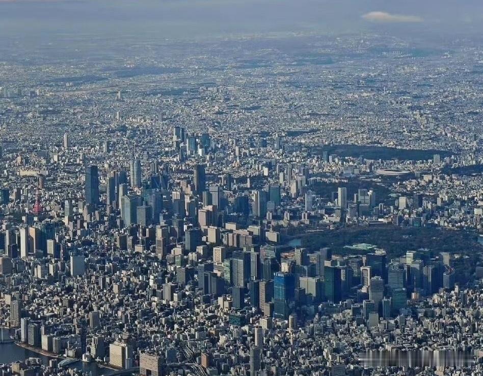 日本：雪花落下的时候，没有一片是无辜的
8月15日，日本自民党高层集体去参拜了靖