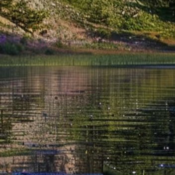 每日一善  每日一善   阳光信用 世事忙忙如水流，休将名利挂心头。粗茶淡饭随缘