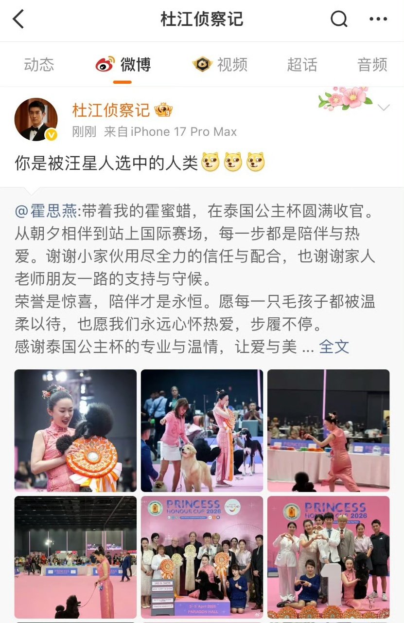 杜江说霍思燕是被汪星人选中的人类杜江发文回应霍思燕 杜江回应霍思燕你是被汪星人选