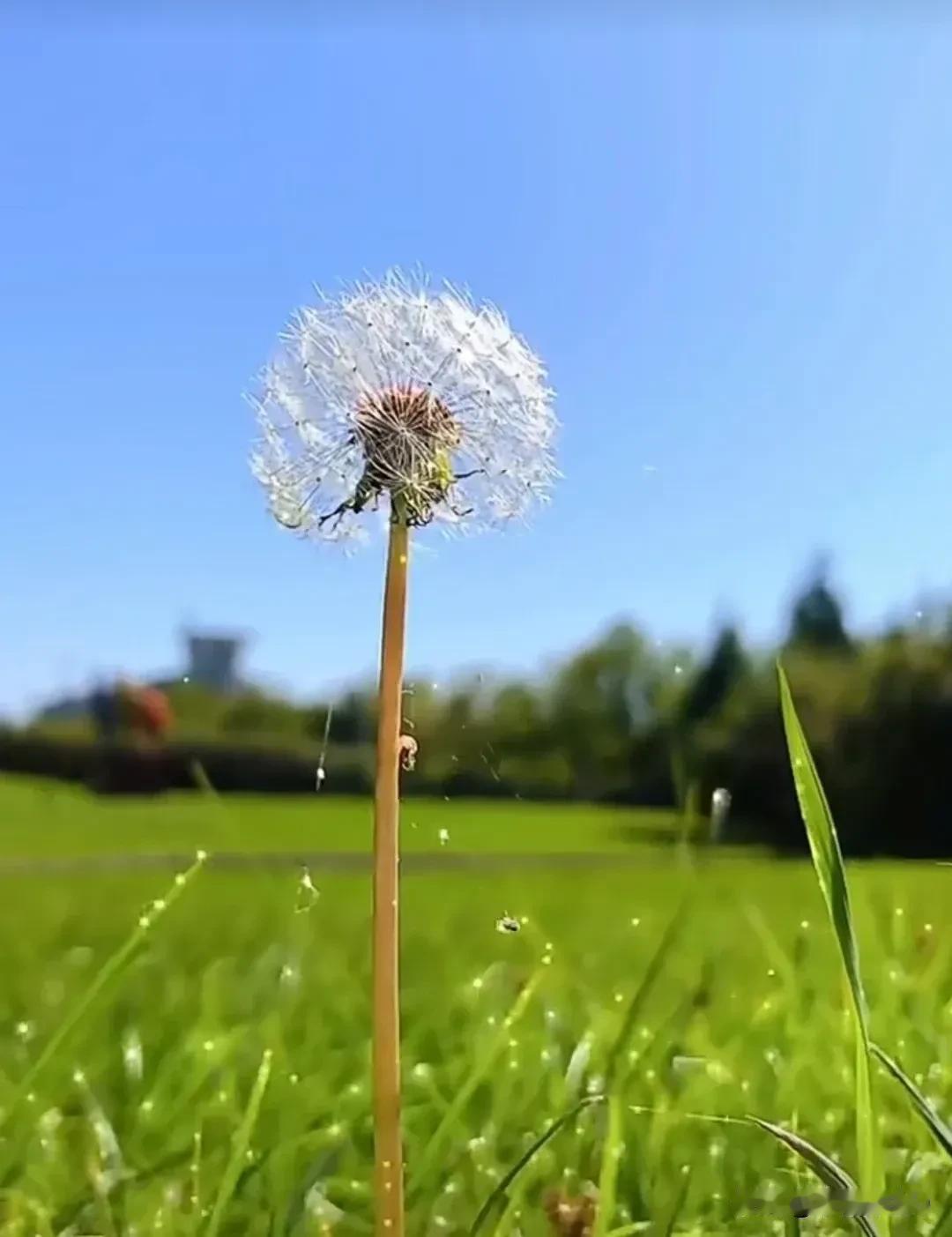 我已经转好运的原因是我始终保持积极的心态和坚持不懈的努力。‌

在面对生活中的挑