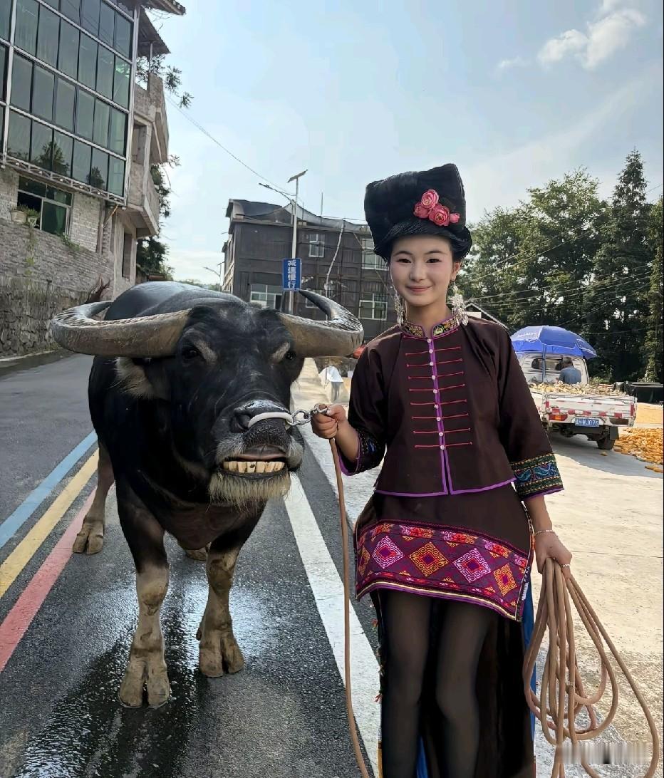 黑丝配水牛，越看越上头