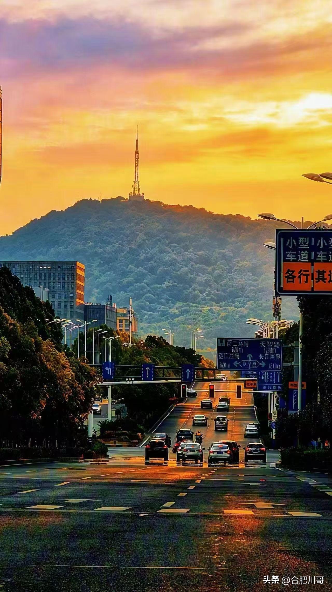 抖音上看到博主
分享的这组照片，拍的真好，合肥大蜀山真美～ ​​​合肥大蜀山森林