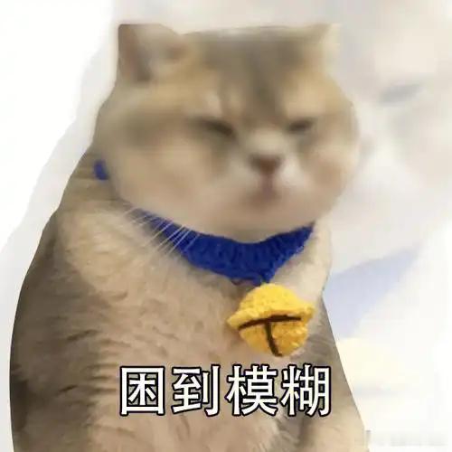 周一早上，迷迷糊糊的挣扎着起床，去机场咯，准备连环出差了。 ​​​