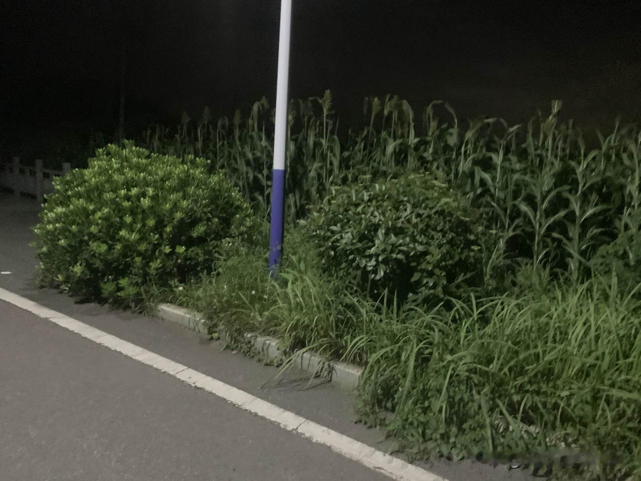 逻辑学真的应该被重新重视吗?
逻辑学确实值得大众重新重视。当下信息纷繁复杂，各类