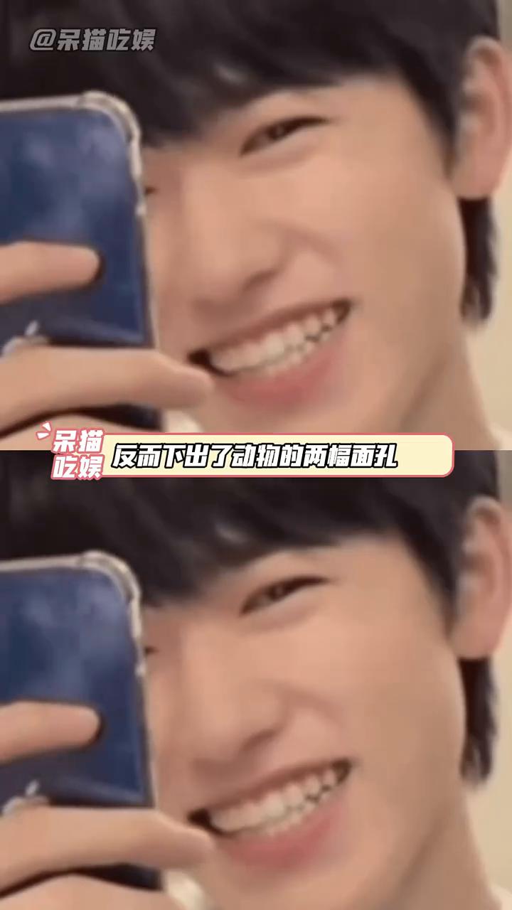 呆猫吃娱。
原来动物与动物之间悲喜也不相通。谁曾想广东一场暴雨反而下出了动物的两