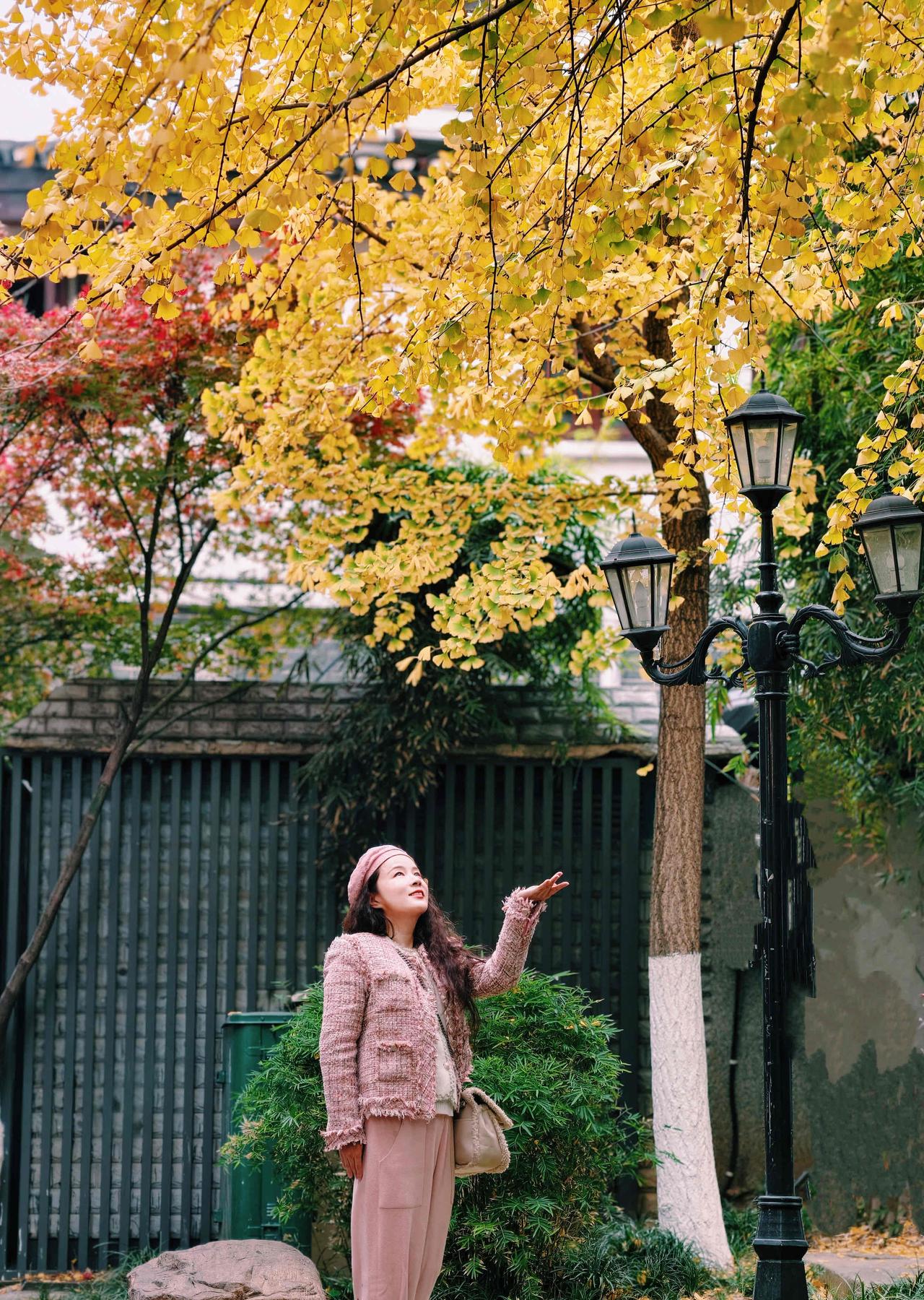 ✨老巷红墙与烟火茶馆✨在长沙芙蓉，邂逅民国风与烟火气 长沙身边事 
银杏正黄的季