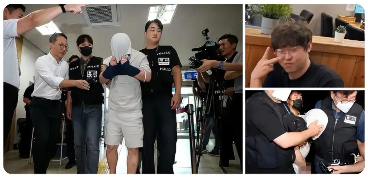 近年来，随着我国打击各类违法犯罪力度持续加大，侦查技术手段不断迭代升级，国内各类