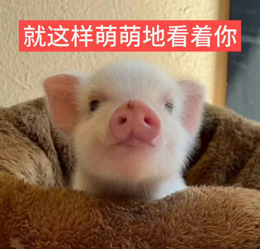 就这样萌萌地看着你 ​​​