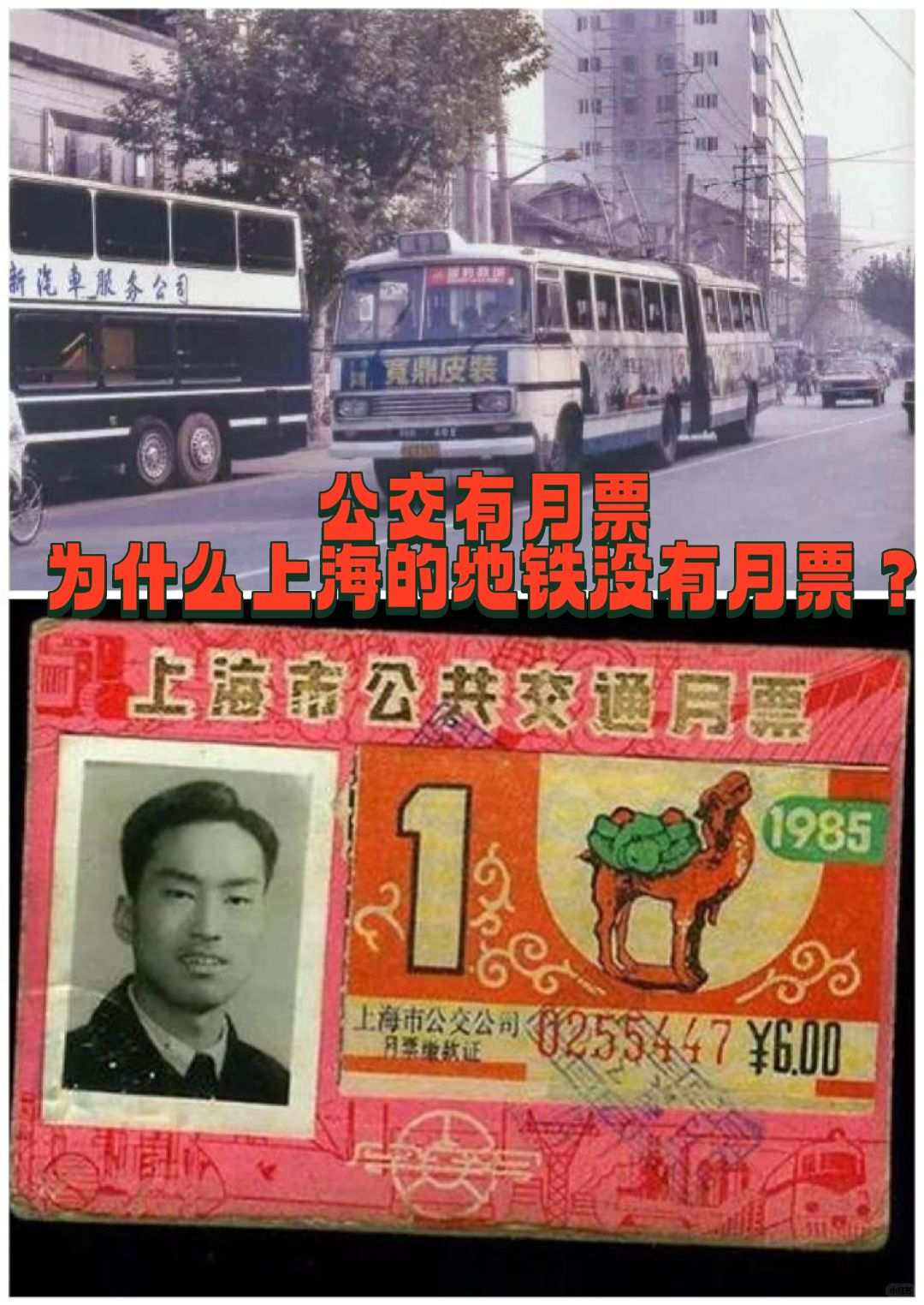 为什么上海地铁没有月票？