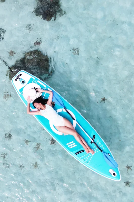 哇😯海里有星星✨海星的星