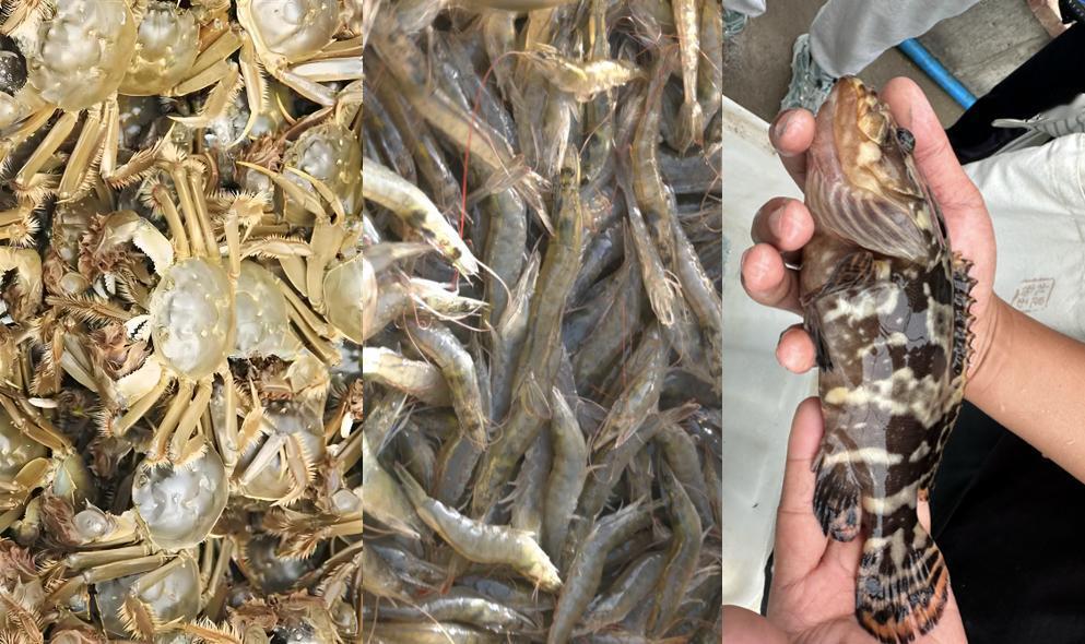 塔克拉玛干，地表水奇缺、年蒸发量是降水量的数百倍——但就在这片“死亡之海”，南美