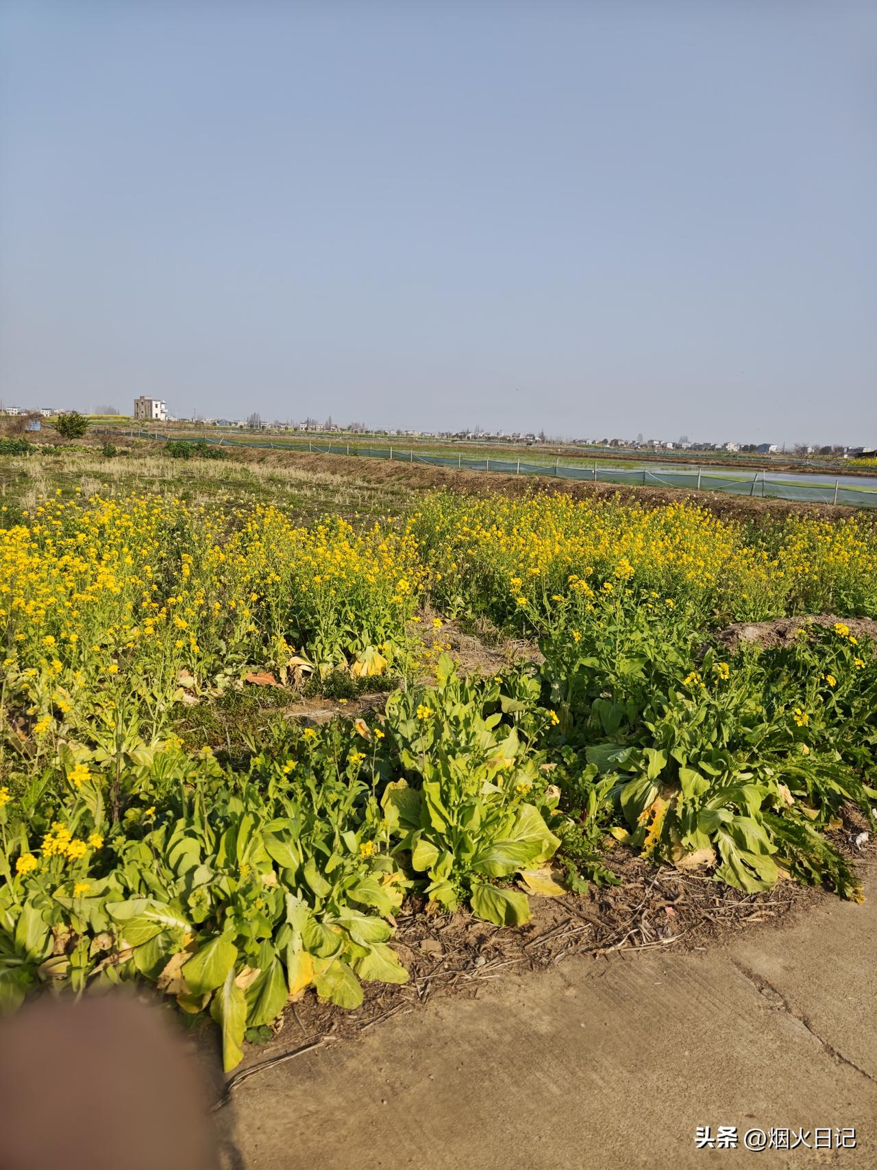 当‘熬夜’成为常态时，生命往往就在那一瞬间

80后的朋友，不知道大家是否还记得