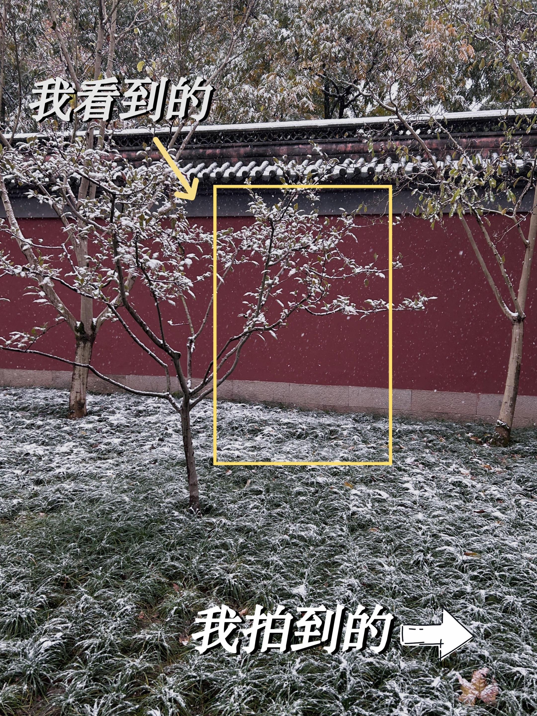 钱王祠的素颜照｜我看到的VS我拍到的雪景。本次放的是爆火的打卡地钱王祠...