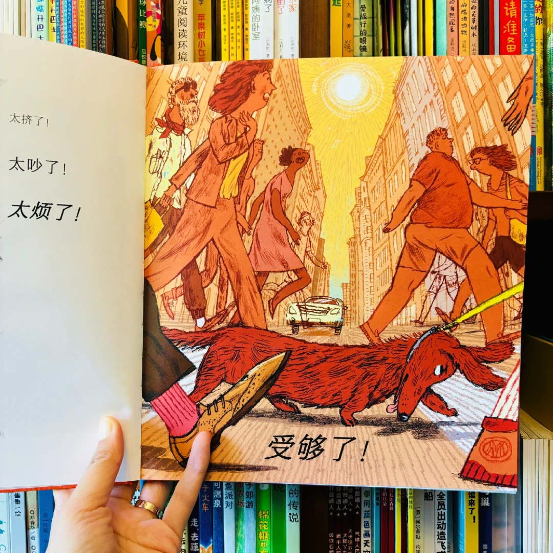 2023凯迪克金奖！我懂为啥叫绘本奥斯卡了！！！